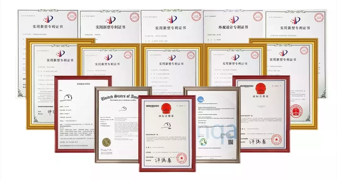 Hongdao Honor Certificate
